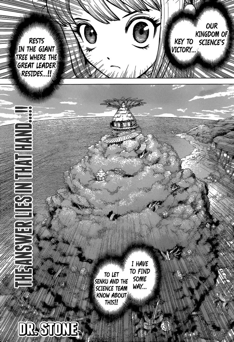 Dr. Stone Chapter 113 1